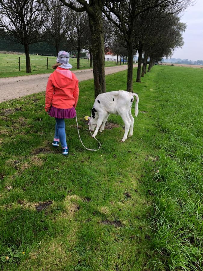 Appartement De Graanzolder Aan Zeeuwse Kust Hoofdplaat Exterior foto